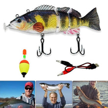 Load image into Gallery viewer, Robotic Fishing Lure