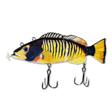 Load image into Gallery viewer, Robotic Fishing Lure

