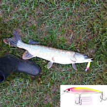 Load image into Gallery viewer, 1PCS Laser Minnow Fishing Lure 11CM 13G

